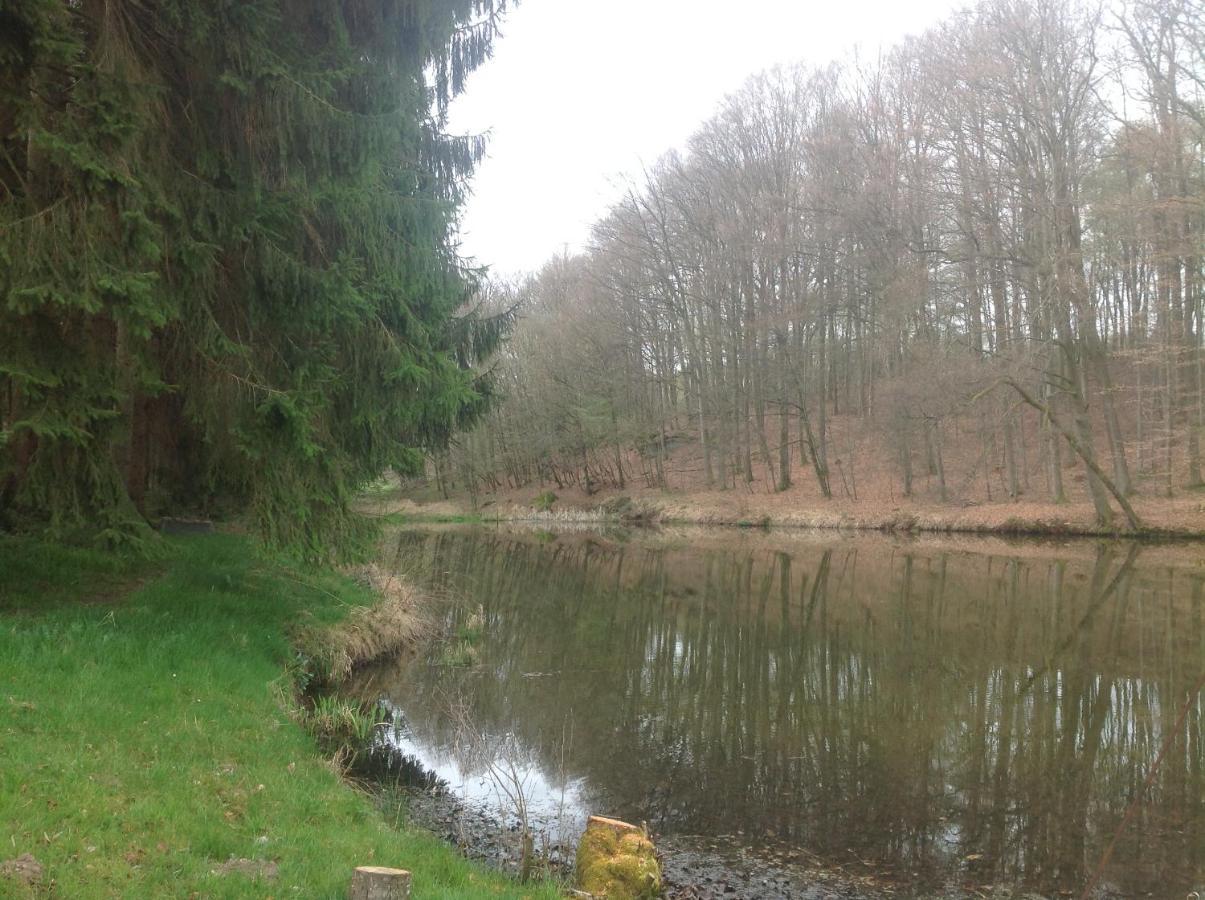 Gite Du Creux De La Goutte Xertigny Kültér fotó